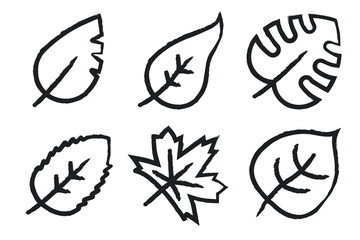 Hand Drawn Leaf Outlines
