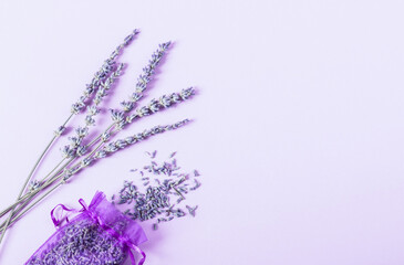 Branches of lavender on a lavender background..