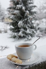 A cup of fragrant tea with crumbly cookies on the background of a luxurious winter outfit of the garden. The fragile garland reminds us that Christmas is coming soon.