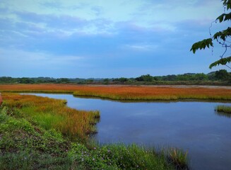 Fototapeta premium Water, Nature, sky, wetland, landscape