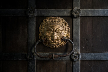 Lion door knocker
