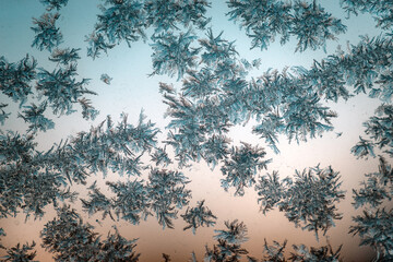 frost painted patterns on the window