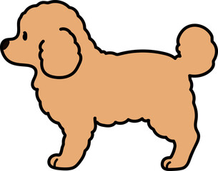 Simple and cute illustration of Toy Poodle in side view
