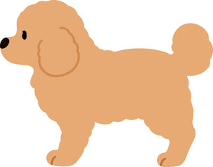 Simple and cute illustration of Toy Poodle in side view flat colored