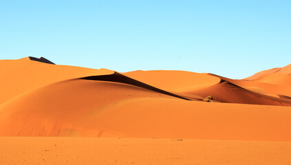 Fototapeta na wymiar Vast Orange windswept Sand Dunes with a natural pale blue sky. There is nothing here but sand and sky