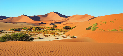 Fototapeta na wymiar Sossusvlei with large orange sand dunes and ripples in the sand.