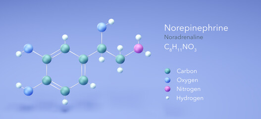 norepinephrine molecular structures, noradrenaline 3d model, Structural Chemical Formula and Atoms with Color Coding