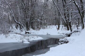 snow covered trees in winter