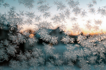 frost painted patterns on the window
