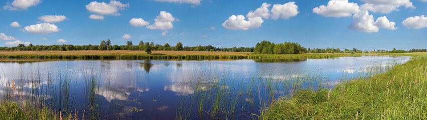 Summer rushy lake panorama view with clouds reflections.
