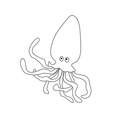 Squid, Fish collection.