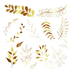 Set of golden floral elements. Gold leaves.