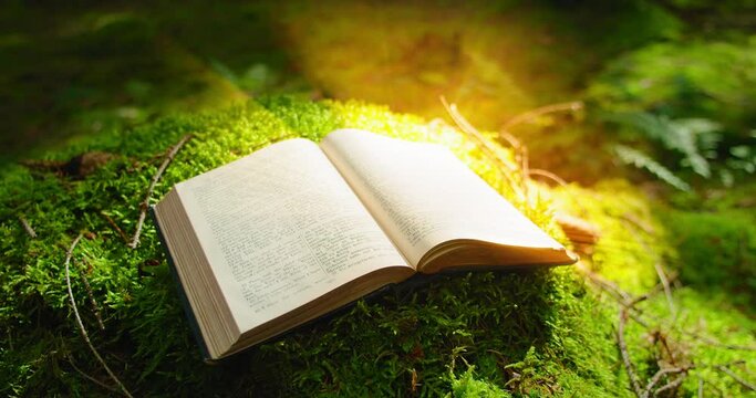 Open book with light flare. Mysterious printed book with a magical story. Learning is light and ignorance is darkness. Illuminated text in ancient scripture. Green nature background.
