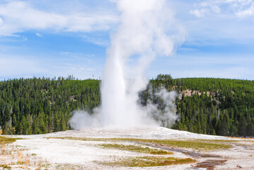 Old Faithful at Yellowstone National Park