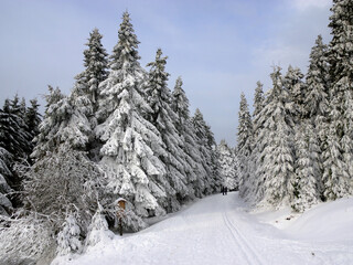 Winterlicher Goetheweg im Harz