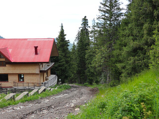 a beautiful wooden house in the forest and a road