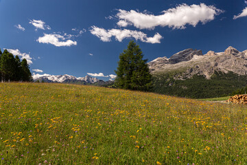 Fototapeta premium Dolomiti Alps in Alta Badia landscape view