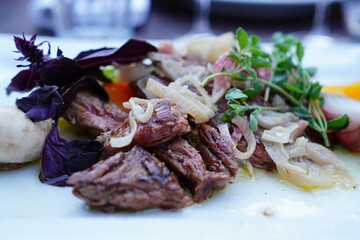 juicy grilled beef steak with colourful salad 