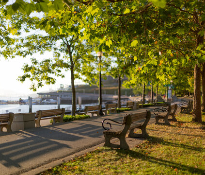 Benches sit under full trees along a trail in a waterfront park at sunset; Vancouver, British Columbia, Canada