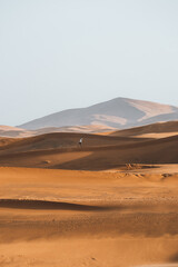 Fototapeta na wymiar Lonely walker in Sahara Desert Merzouga Person Morocco