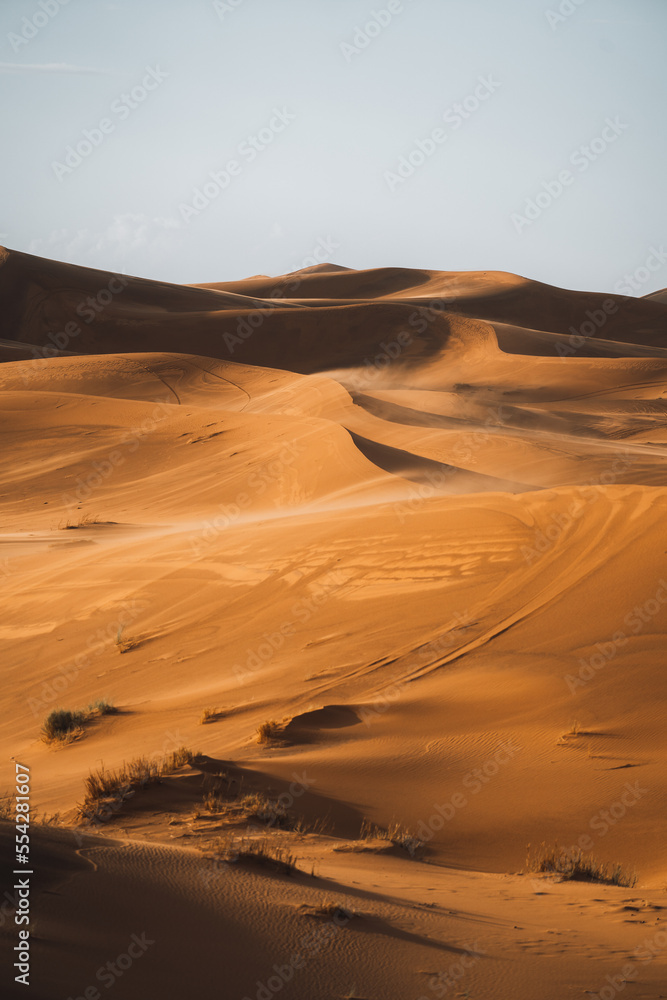 Wall mural Sand texture in Morocco Sahara Merzouga Desert portrait oriented - Wall murals