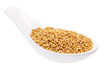 White ceramic spoon of whole yellow mustard seeds (Sinapis alba) isolated png
