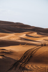 Fototapeta na wymiar Sand texture in Morocco Sahara Merzouga Desert portrait oriented