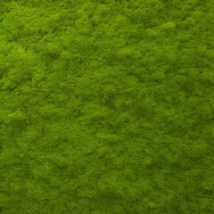 green grass texture background