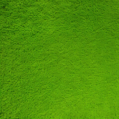 green grass texture background