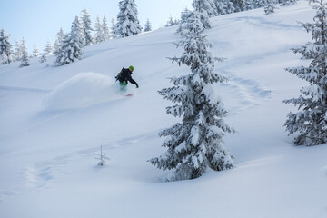 Snowboard freerider in the mountains curved and brakes spraying loose deep snow on the freeride slope