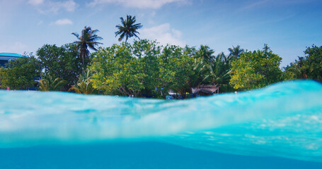 Fototapeta na wymiar Tropical island with trees in the ocean