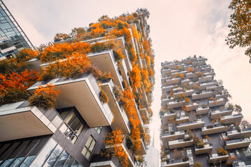 Skyscapers in autumn colors with plants and trees - obrazy, fototapety, plakaty