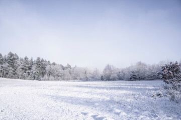 Fototapeta na wymiar Snow covered field on a bright winter day
