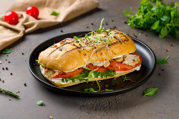 chicken breast and vegetable sandwich on brown table