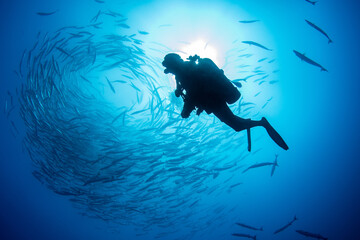 Scuba diver in the blue