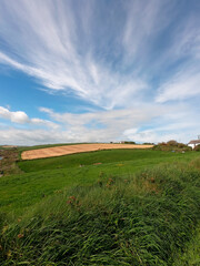 The sky over the fields. Beautiful landscape. Nature of the South of Ireland.