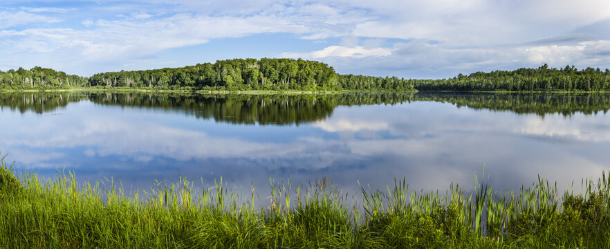 Reflections of sky and trees on a tranquil lake; Ontario, Canada - Powered by Adobe