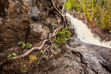 A river flows after a rain storm with wet rock and tree roots in the foreground, near Grand Portage; Minnesota, United States of America