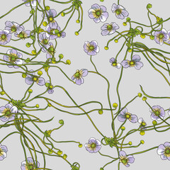 Seamless floral pattern with blossom pastel lilac anemones on light grey background.