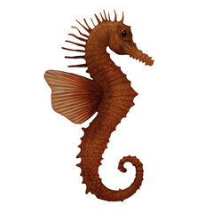 Seahorse Hippocampus Digital Art By Winters860 Isolated, Transparent Background