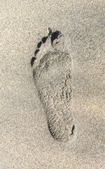Footprint footprints on the beach sand by the water Mexico.