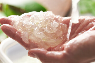 Aloe vera soothing gel on hand