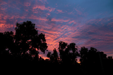 Fototapeta premium Pink Clouds and lovely sky at Sunset in Alicante