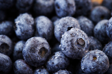 Close-up of fresh blueberries with water droplets