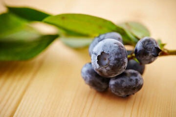 blueberries on a wooden background