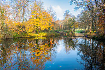 Fototapeta na wymiar Gorgeous reflections of trees in fall colours in the water of a pond in city park 