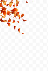 Orange Leaf Swirl Vector White Transparent Background