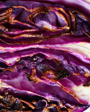 A close-up of roasted red cabbage, showcasing vibrant purple hues and charred edges, ideal for a texture-rich stock photo.