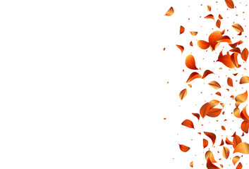 Fototapeta premium Orange Leaf Swirl Vector White Background