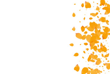 Lemon Floral Fall Vector White Background.